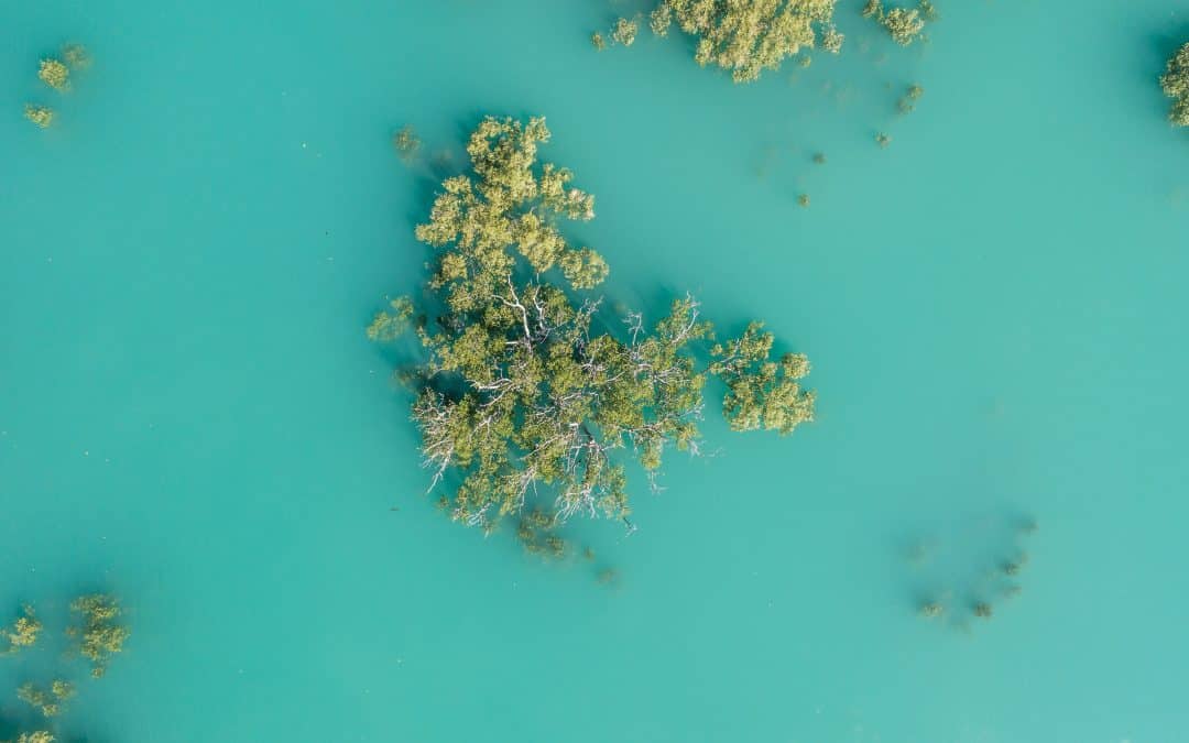 Australia Through Indigenous Eyes
