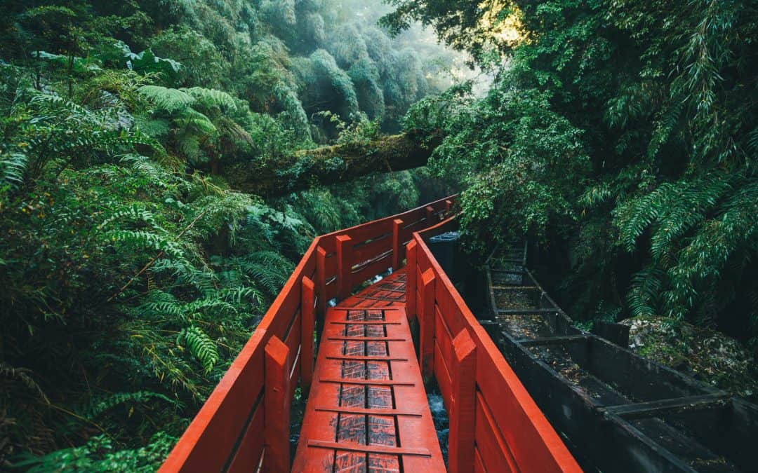 Top 3 Life Lessons from the World’s Greatest Adventurers with Aaron Millar (Host of the Armchair Explorer Podcast)