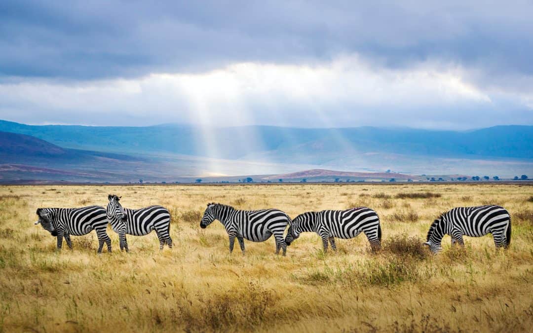 National Geographic’s Best of the World: Where to Travel in 2024 and Beyond (With Senior Editor Allyson Johnson)