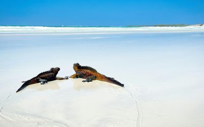 7 Must-Visit Destinations for 2026 (Get There Before the Crowds Arrive!) with Lyn Hughes